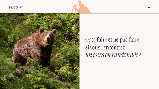 Quoi faire et ne pas faire si vous rencontrez un ours en randonnée?
